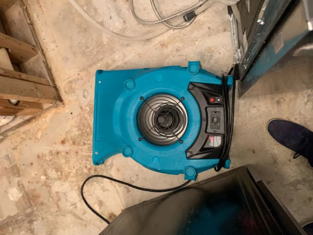 Air mover drying equipment for Mold Remediation & Removal in Ogden